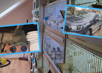 Szokujące odkrycie w lesie pod Jemielnicą