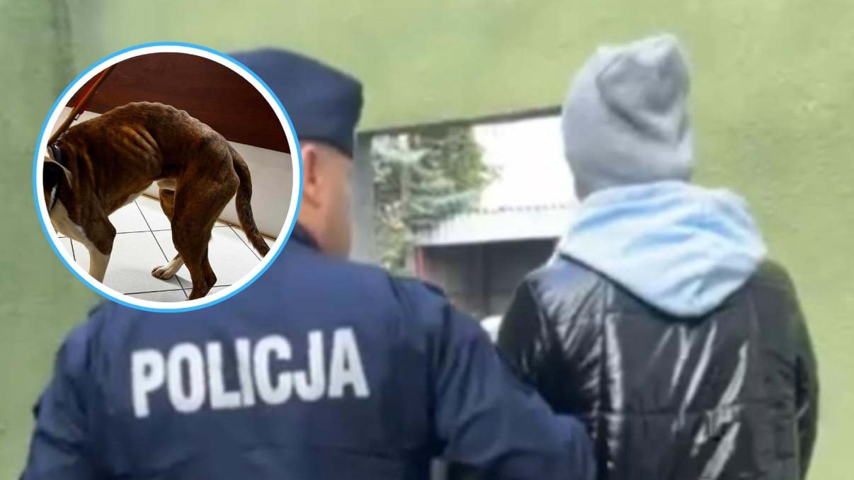 Z lecznicy do celi – była pracownica weterynarii skazana za znęcanie się nad zwierzętami