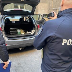 Włamywacz okradał domy w Opolu i okolicach - fot. policja