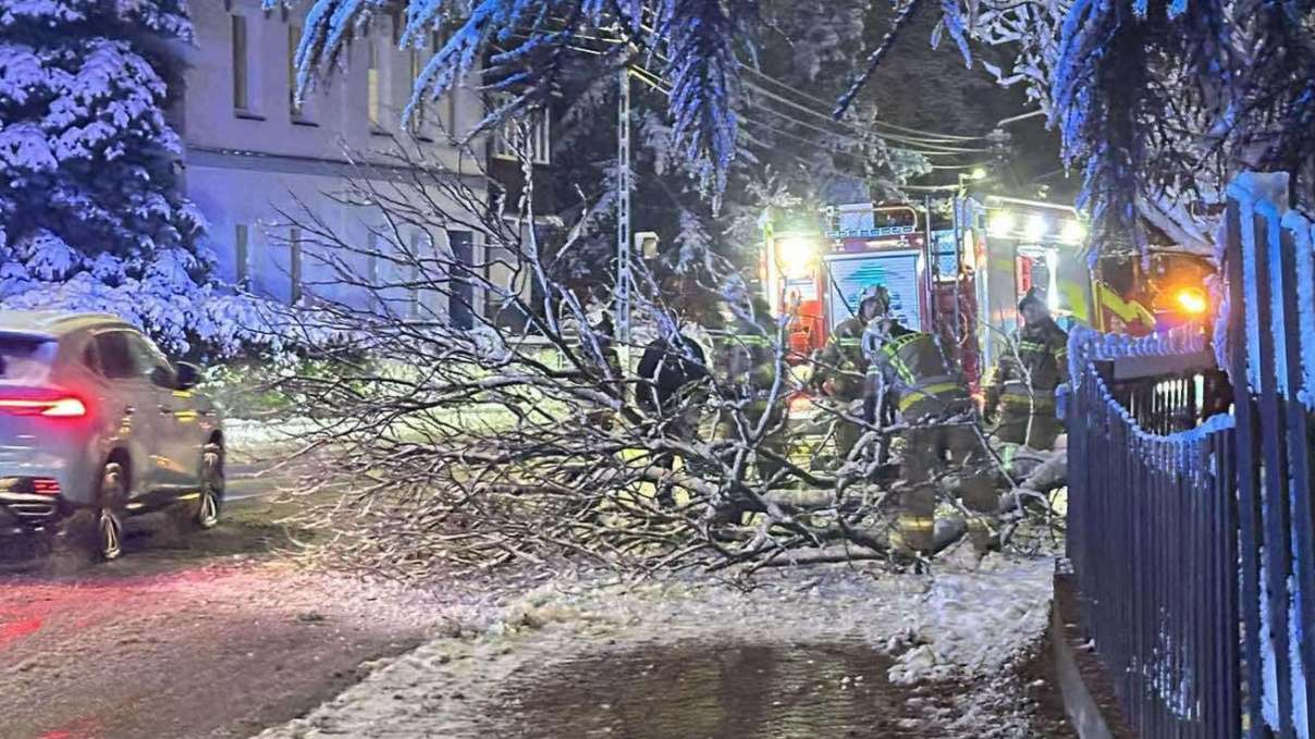 Przewrócone drzewa, zerwane linie – ponad 60 interwencji strażaków