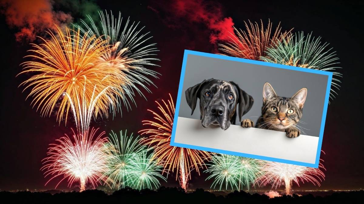 Dyrektorka zoo w Opolu apeluje: W sylwestra nie strzelamy, bo kochamy