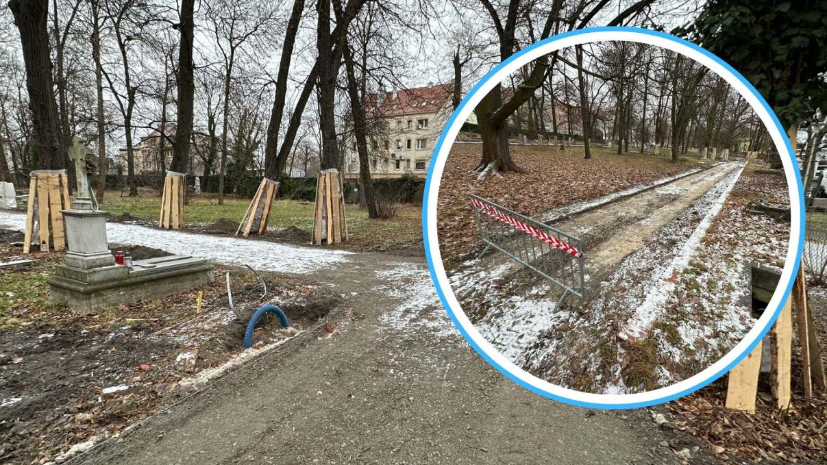 rewitalizacja cmentarza w Opolu