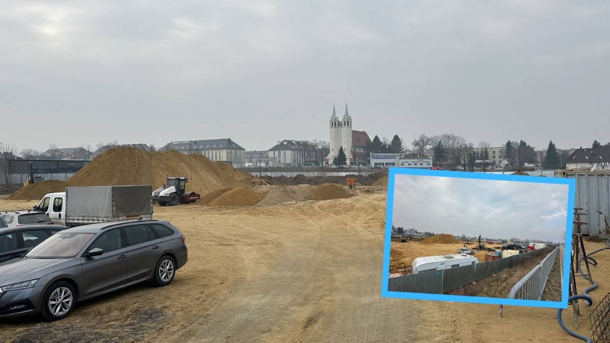 Lidl na Krapkowickiej w Opolu