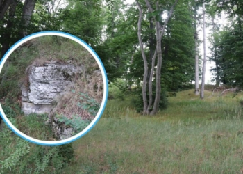 rezerwat biesiec skała