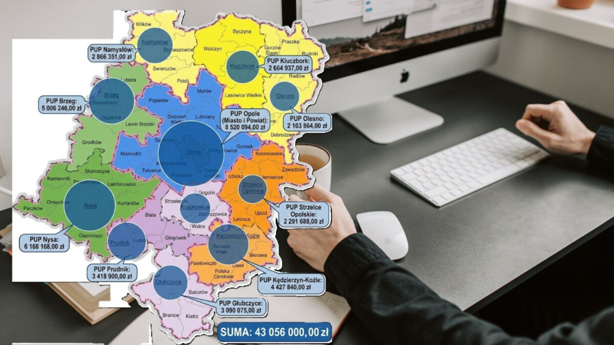 Opolski rynek pracy. Te urzędy dostaną najwięcej pieniędzy
