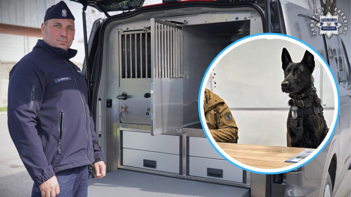 Nowe radiowozy dla psów służbowych w opolskiej policji. Fordy za 800 tysięcy złotych
