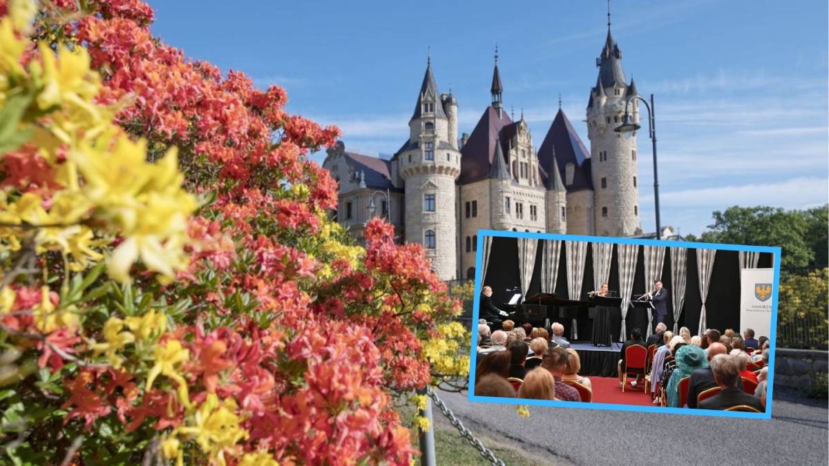 Muzyczne Święto Kwitnących Azalii 2026