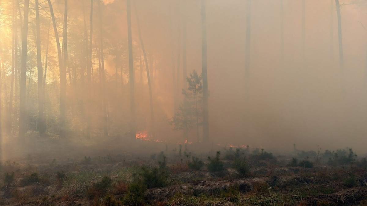 Pożar lasu pod Olesnem. W akcji strażacy, samoloty i helikopter gaśniczy