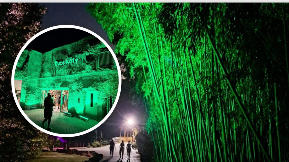 Nocne zwiedzanie ZOO Opole z okazji 73. urodzin
