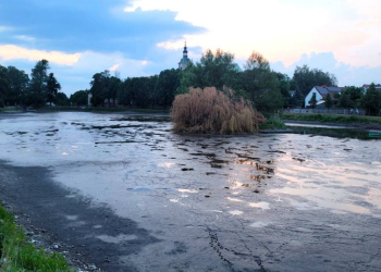 Staw Kościelny w Jemielnicy