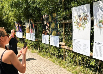 Ilustragan zoo