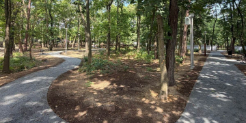 park pojednania w Kędzierzynie-Koźlu