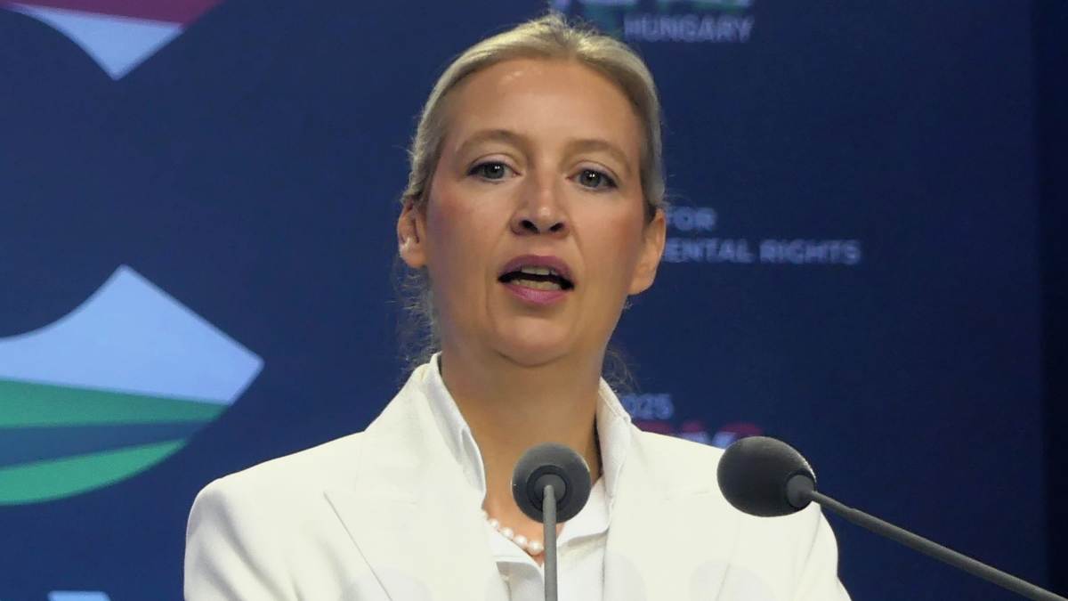 Alternatywa dla Niemiec idzie po Berlin? Ten plan budzi wielki lęk