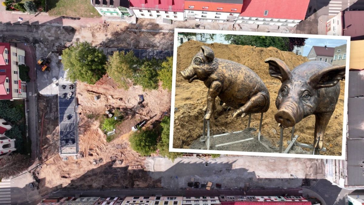 figury świnek w Gorzowie Śląskim