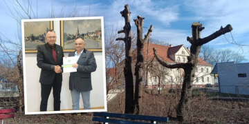 Park w Niemodlinie