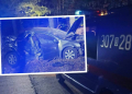 śmiertelny wypadek w Zagwiździu