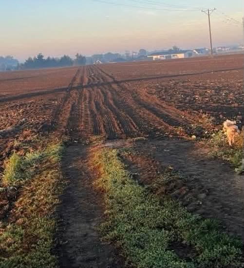 Nie tylko Gliwice. W tej gminie też są zaorane drogi!