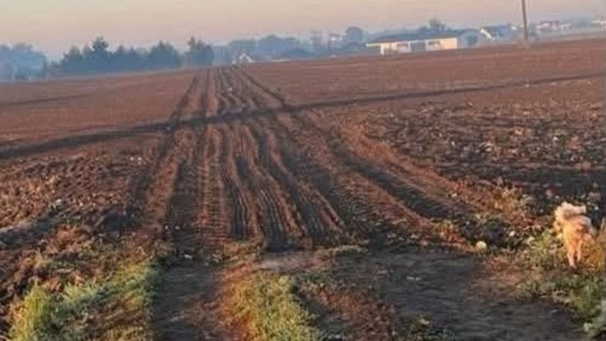 Nie tylko Gliwice. W tej gminie też są zaorane drogi!